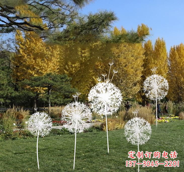 天津不锈钢蒲公英景观雕塑艺术与美的完美结合