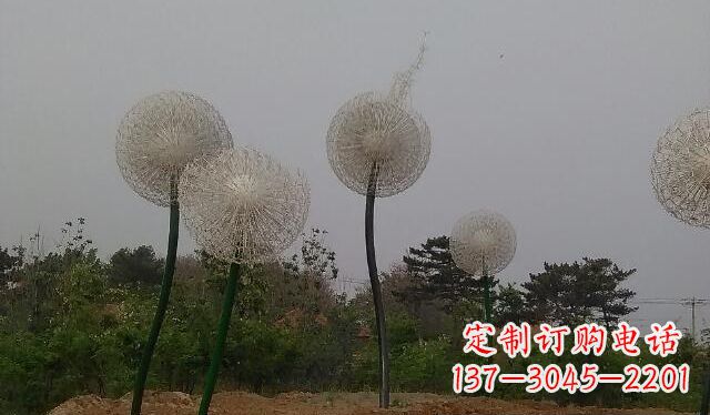 天津蒲公英的绚丽多彩