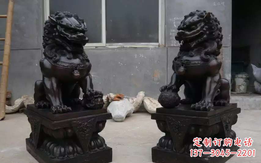 天津踩球镇的狮子之家