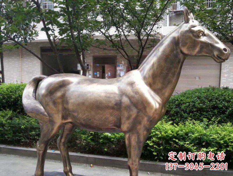 天津公园马动物铜雕 (3)