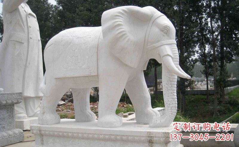 天津答案(需要发挥想象力)