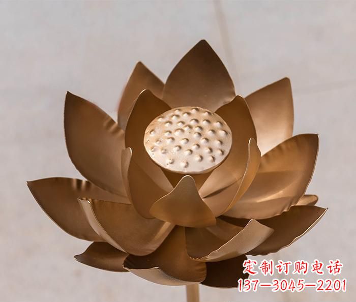 天津铜雕景观荷花
