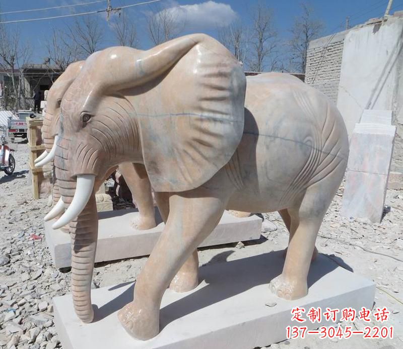 天津晚霞红卷鼻大象