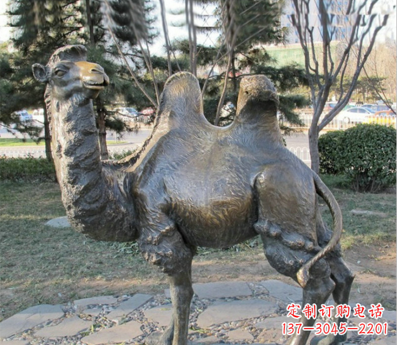 天津骆驼铜雕塑